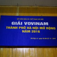 Nhìn lại Giải Vovinam TP. Hà Nội mở rộng năm 2016